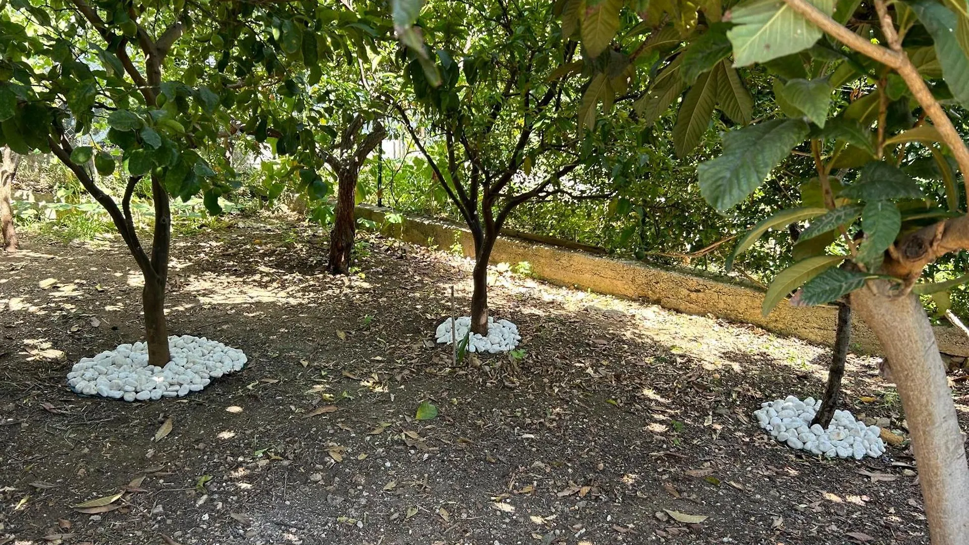 Aromi Di Sicilia Casa Vacanze Palermo 0*,  Italia